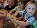 IMG 20210614 115556
