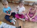 IMG 20210511 101748
