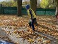 IMG 4827