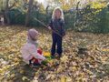 IMG 4828