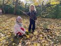 IMG 4829