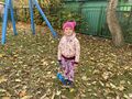 IMG 4831
