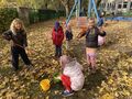IMG 4832