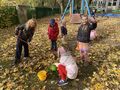 IMG 4833
