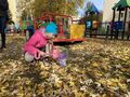 IMG 4834