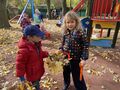 IMG 4836