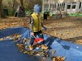 IMG 4837
