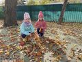 IMG 4838