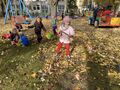 IMG 4841