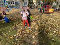 IMG 4842