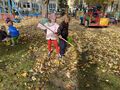 IMG 4843