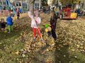 IMG 4844