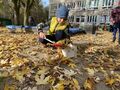 IMG 4846