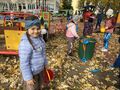 IMG 4847