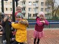 IMG 4806