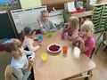 IMG 4614