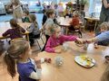IMG 5337