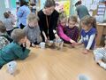 IMG 5343