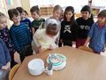 IMG 20210215 100925